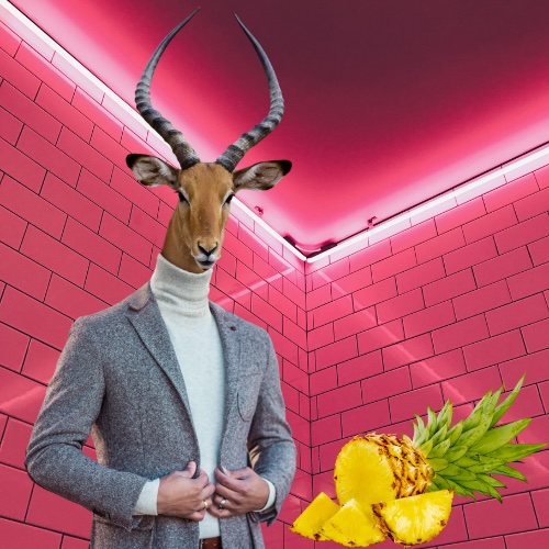 Vizt vs. pineapple rizz